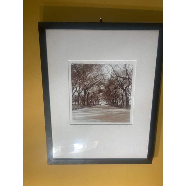 Contemporary Michael Magill Signed Photograph “Poet’s Walk, Central Park” 1992 For Sale - Image 3 of 4