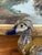 Vintage Chinese Cloisonné and Ceramic Duck Figurine With Hand-Painted Detailing. For Sale - Image 4 of 9