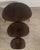 Pebble Nesting Tables from Ercol, 1960s, Set of 3 For Sale - Image 6 of 13