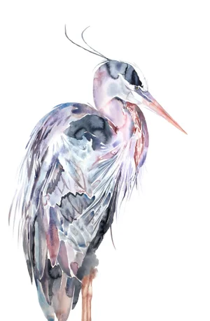 "Heron No. 25" Contemporary Original Watercolor Bird Painting by Elizabeth Becker