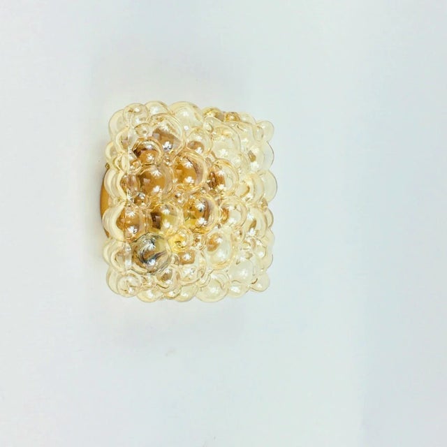 1970s Mid-Century Modern Amber Bubble Glass Flush Mount by Helena Tynell for Limburg, Germany, 1970s For Sale - Image 5 of 14