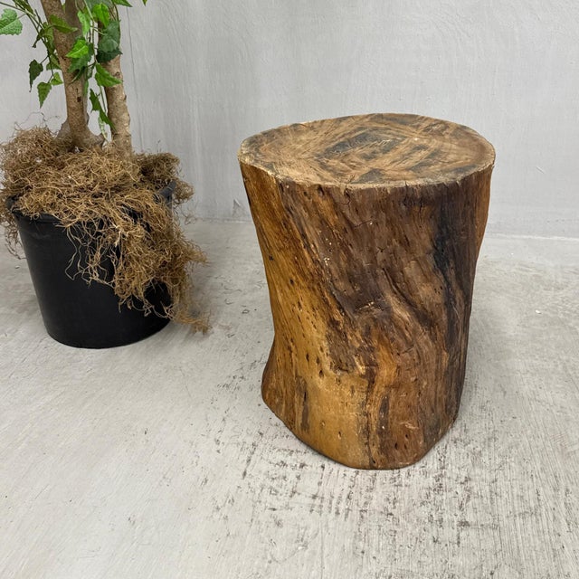 Rustic Mid 20th Century Honey Brown Twisted Free-Form Tree Trunk Side Pedestal Table For Sale - Image 3 of 9