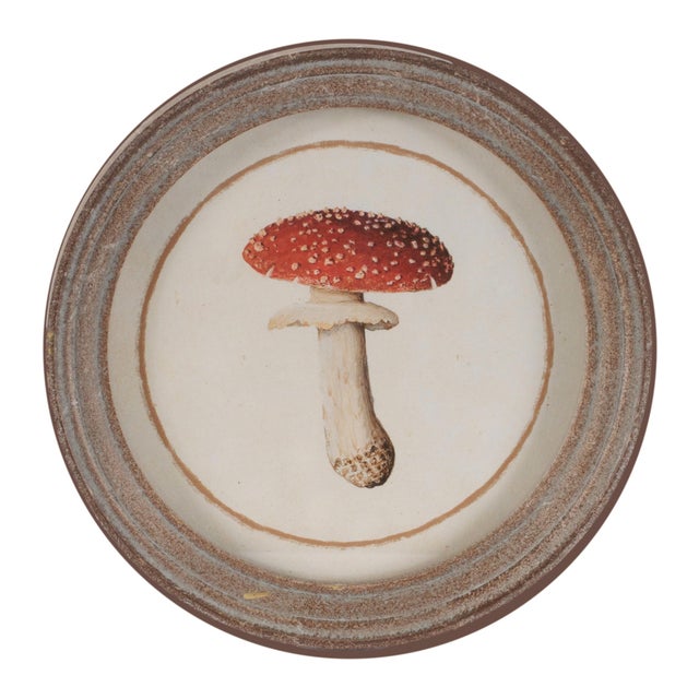 Framed Mushroom Print (Set of 4) For Sale In Chicago - Image 6 of 7