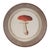 Framed Mushroom Print (Set of 4) For Sale In Chicago - Image 6 of 7