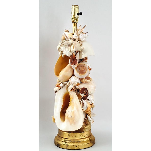 1950s Lamp Seashells Shells - Vintage Restored For Sale - Image 5 of 17
