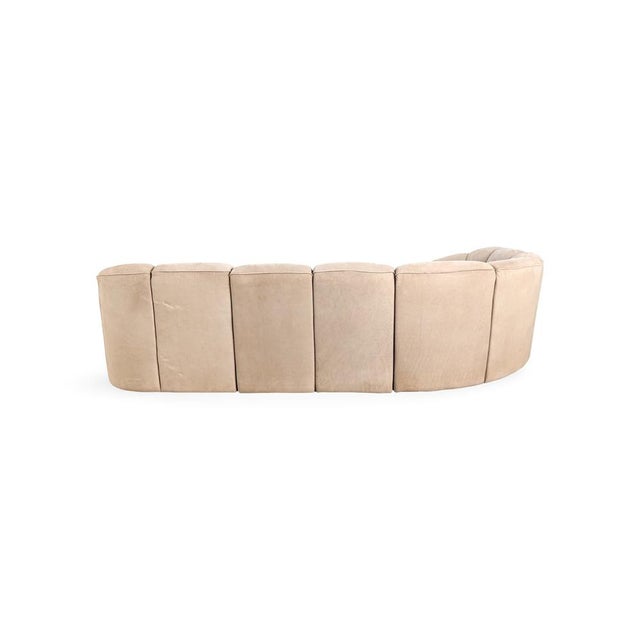 Piccolino Corner Sofa in Suede from Walter Knoll For Sale - Image 4 of 15