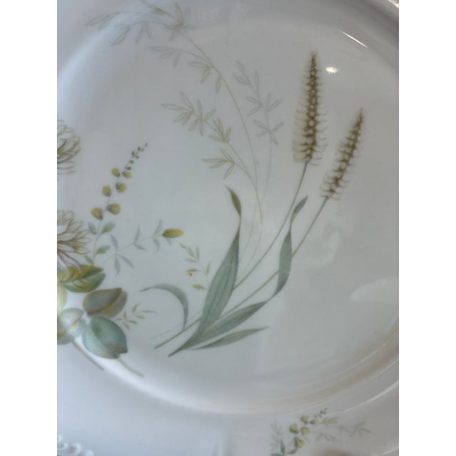 White Vintage Forest Bavaria Dinner Plates With Gold Rim - Set of 8 For Sale - Image 8 of 12