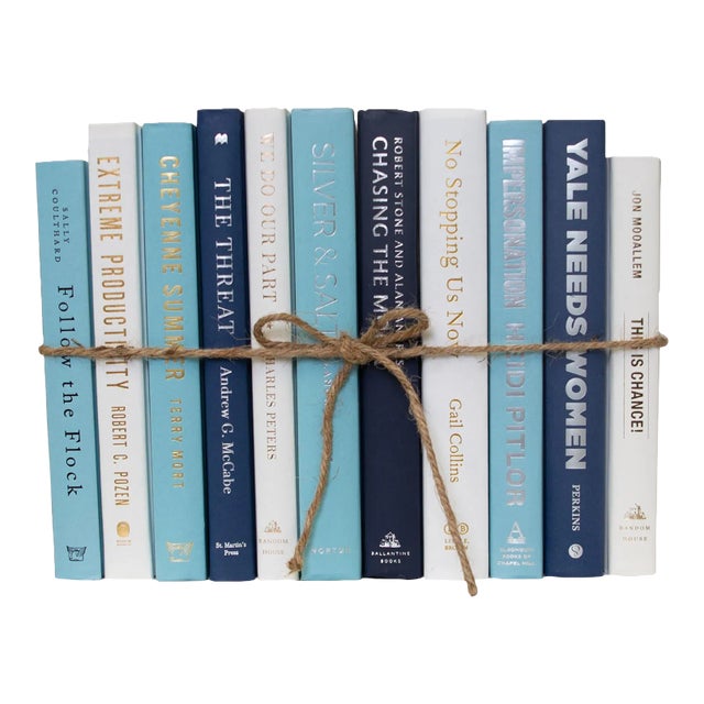 Decorative Books - Blue Oasis Book Bundle - 1 Foot of Blue Books For Sale
