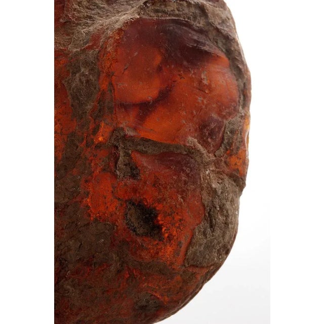 Large Amber Stone Gemstone, 1960s For Sale - Image 3 of 10
