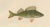 Wilhelm von Wright, Perch, Pike-Perch, and Ruffe, 1895, Lithograph on Paper For Sale - Image 3 of 5