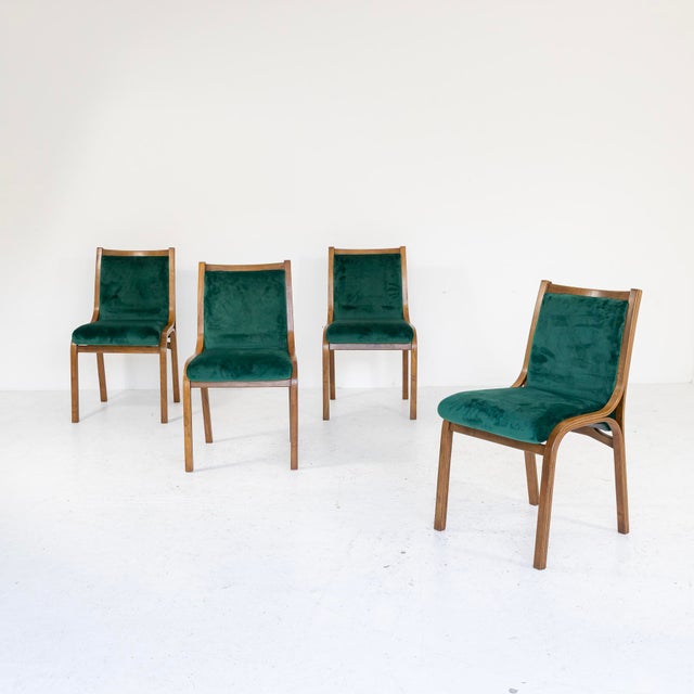 Wood Cavour Chairs by Gregotti, Meneghetti and Stoppino for SIM, 1960s, Set of 4 For Sale - Image 7 of 8