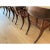 Klismos solid walnut dining chairs. The chairs are made of solid walnut with a satin finish and leather cording. The...