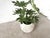 Gray Spherical Planter Made of Fiber Cement, DLG Willy Guhl, 1960s For Sale - Image 8 of 9