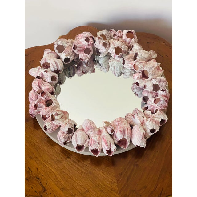 Coastal 1970s Coastal Sculptural Barnacles Shell Round Mirror For Sale - Image 3 of 7