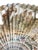 Stunning rare 19th century hand fan in Rococo style, silk and vellum construction typical of high quality fans from the...