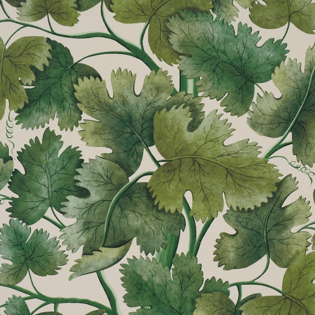Traditional Schumacher Edinburgh Vine Wallcovering In Moss For Sale - Image 3 of 5