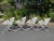 1960’s Clam Chairs by Maurizio Tempestini for Salterini, Attributed - Set of 4 For Sale In New York - Image 6 of 12