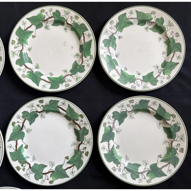 Wedgwood 1940s Wedgewood Napoleon Ivy Plates - Set of 9 For Sale - Image 4 of 8