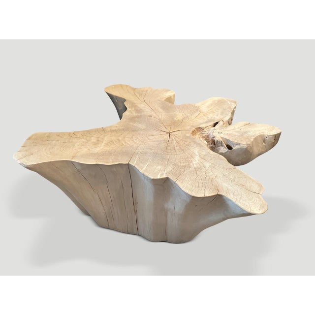Andrianna Shamaris Amorphous Bleached Teak Wood Coffee Table For Sale In New York - Image 6 of 6