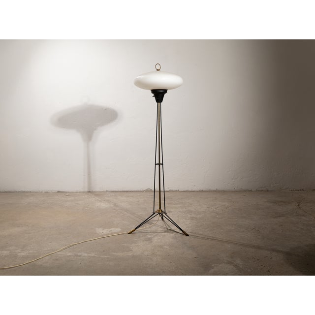Mid-Century Modern Mid-Century Floor Lamp in Opal Glass, 1950s For Sale - Image 3 of 7