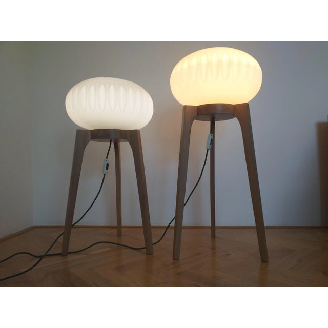 Large Mid-Century Floor Lamps from Krásná Jizba for ÚLUV, 1970s, Set of 2 For Sale - Image 8 of 13