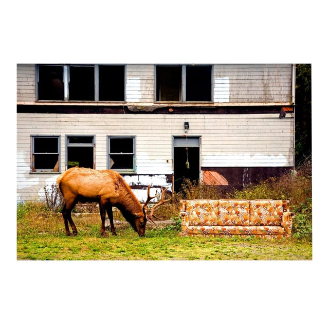"White Trash Elk" - Contemporary Dye Sublimation Photograph by George Diebold For Sale