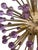 Italian 1980s Italian Sputnik Chandelier With Purple Murano Glass For Sale - Image 3 of 8