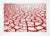 Title: Red Cracks Artist: Menashe Kadishman, Israeli (1932 - 2015) Year: circa 1979 Medium: Etching with Aquatint, signed...
