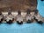 Early 20th Century Rare 1909 Tobias Cohen Menorah Set Smithsonian Match Patented Oil & Candle Lamps For Sale - Image 5 of 18