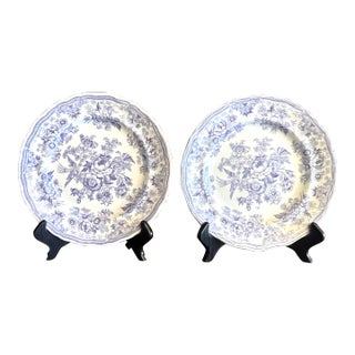 Antique Ceramic Transferware "Asiatic Pheasants" Plates- a Pair For Sale