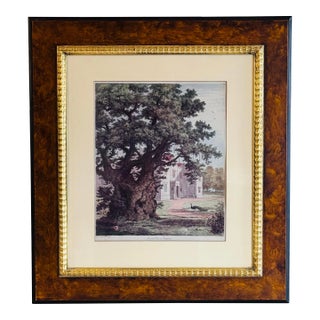 J. G. Strutt, Ancient Elm at Checquers 1825 Colored Engraving Framed by Throwbridge Gallery London For Sale
