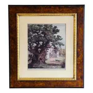 J. G. Strutt, Ancient Elm at Checquers 1825 Colored Engraving Framed by Throwbridge Gallery London