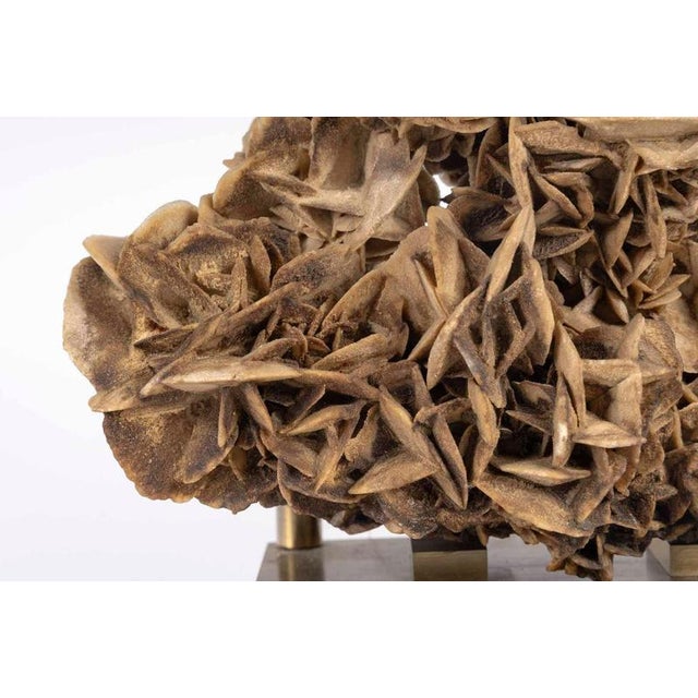 Pink Table Lamp with Sand Rose, 1970 For Sale - Image 8 of 9