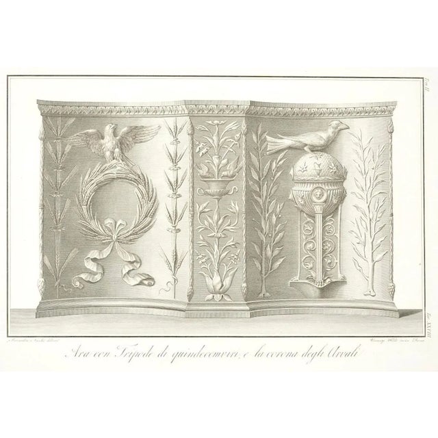 Ara con Tripode - Original Etching by V. Feoli After B. Nocchi - 1821 1821 For Sale