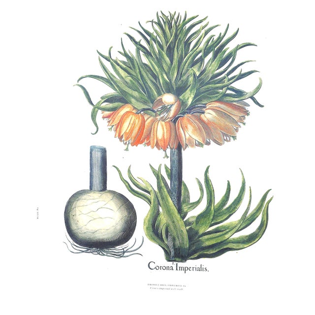 2000 - 2009 "The Garden at Eichstatt: The Book of Plants" 2000 Besler, Basilius For Sale - Image 5 of 9