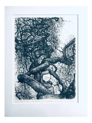 Lithograph, Winterboom IB Princenhage, Paul Van Gils, 1980s