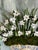 Floral Relief Conservatory Collection, Four Seasons - “Winter Whites” - Designed by Cheryl P. Kohloff For Sale In West Palm - Image 6 of 9