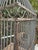 1970s Monumental 77-Inch Custom Artisan Hand-Welded Wrought Iron Pagoda Aviary (Birdcage) on Stand For Sale - Image 5 of 12