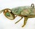 Los Castillo 60s Mexican Mid-Century Abalone Shell Grasshopper Tray W/ Lid, Mixed Metals For Sale - Image 4 of 12