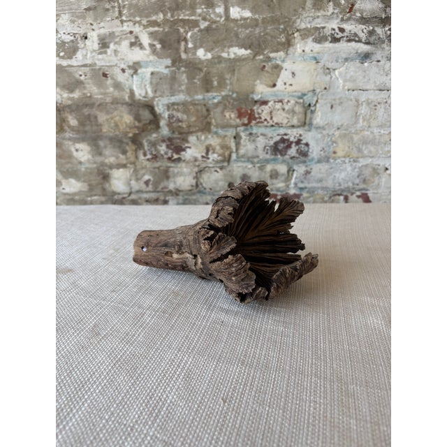 Wood Natural Wood Tree Flower Sculpture / Organic Botanical Decor Object For Sale - Image 7 of 9