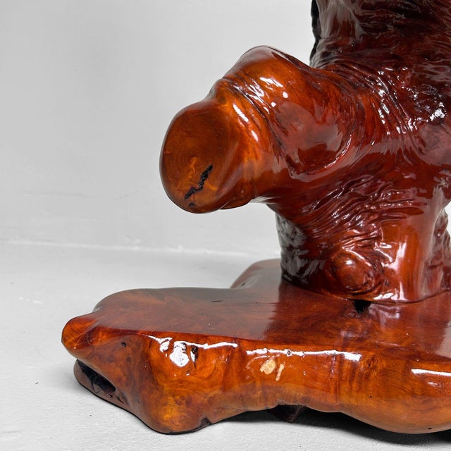 Japanese Rootwood Display Keyaki, 1970s For Sale - Image 16 of 18