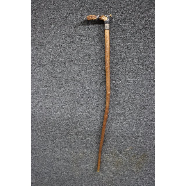 Antique English Country Walking Stick With Deer Antler and Silver Handle For Sale - Image 12 of 16