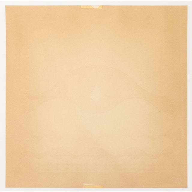 Ronald Abram Infinitesimale Constantes, Silkscreen in Colors, 1970 For Sale - Image 9 of 9