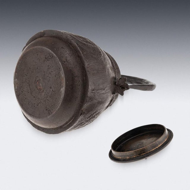 Brown Antique Japanese Carved Cast Iron Ryubundoa Tetsubin Kettle, 19th Century For Sale - Image 8 of 18
