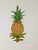 2020s Pineapple Fruit Modern Botanical Paintings by Cynthia Geyer For Sale - Image 5 of 7