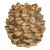 Keona Golden Pine Cone Pillar Candle Holder, Small For Sale