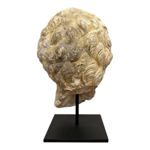 15th Century French Carved Limestone Head Fragment