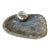 Vintage Ammonite Fossil Shell Catchall Dish For Sale