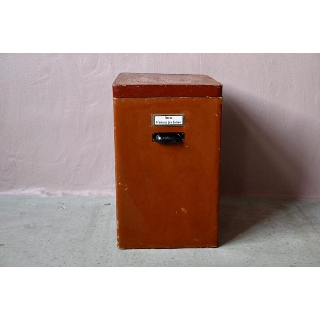 Large Industrial Herbalist Cardboard Box For Sale - Image 5 of 16