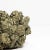 2020s Votive Holder in Pyrite Classic For Sale - Image 5 of 7
